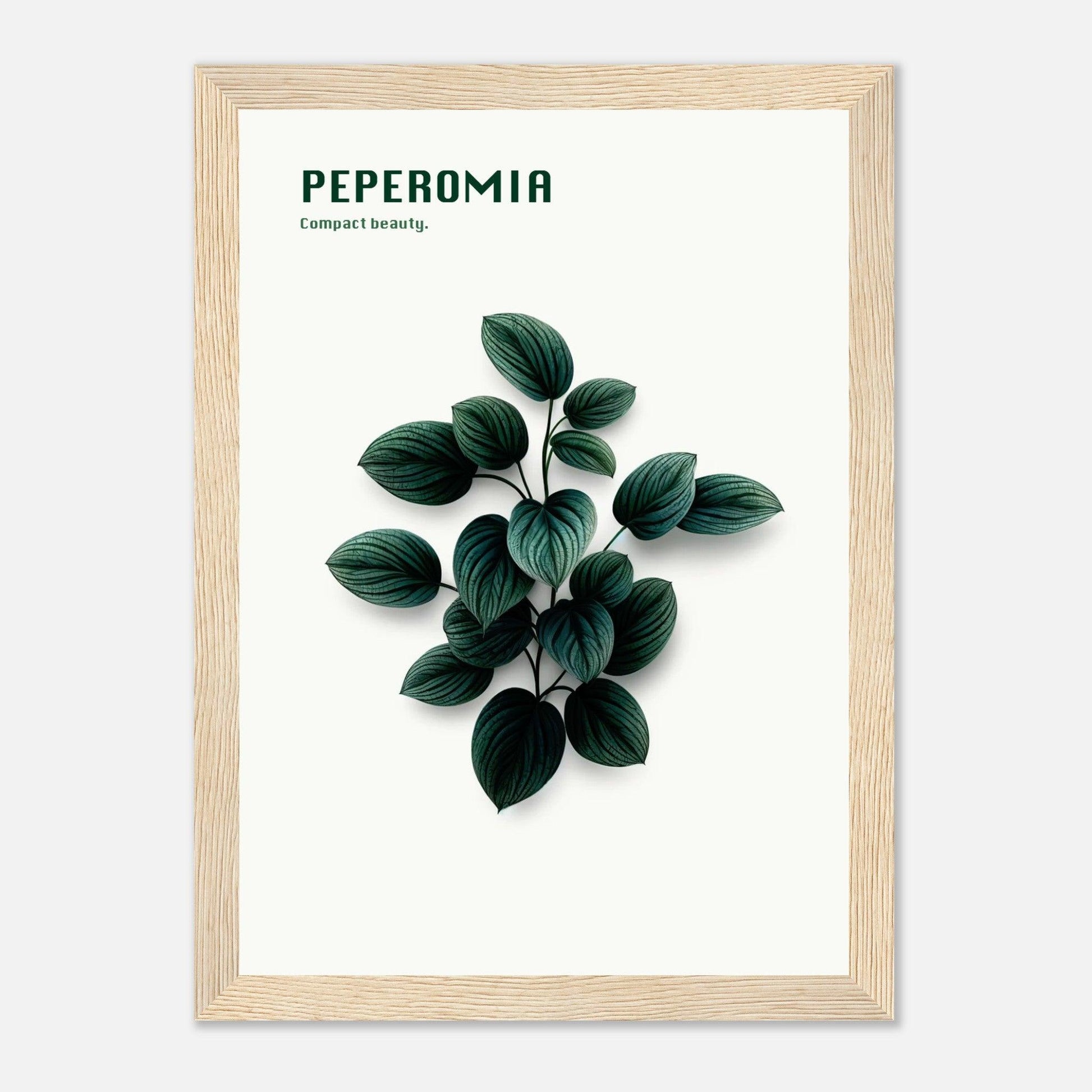 1f69bfd3-0ae5-4bd9-9183-cfe29ac40a3a