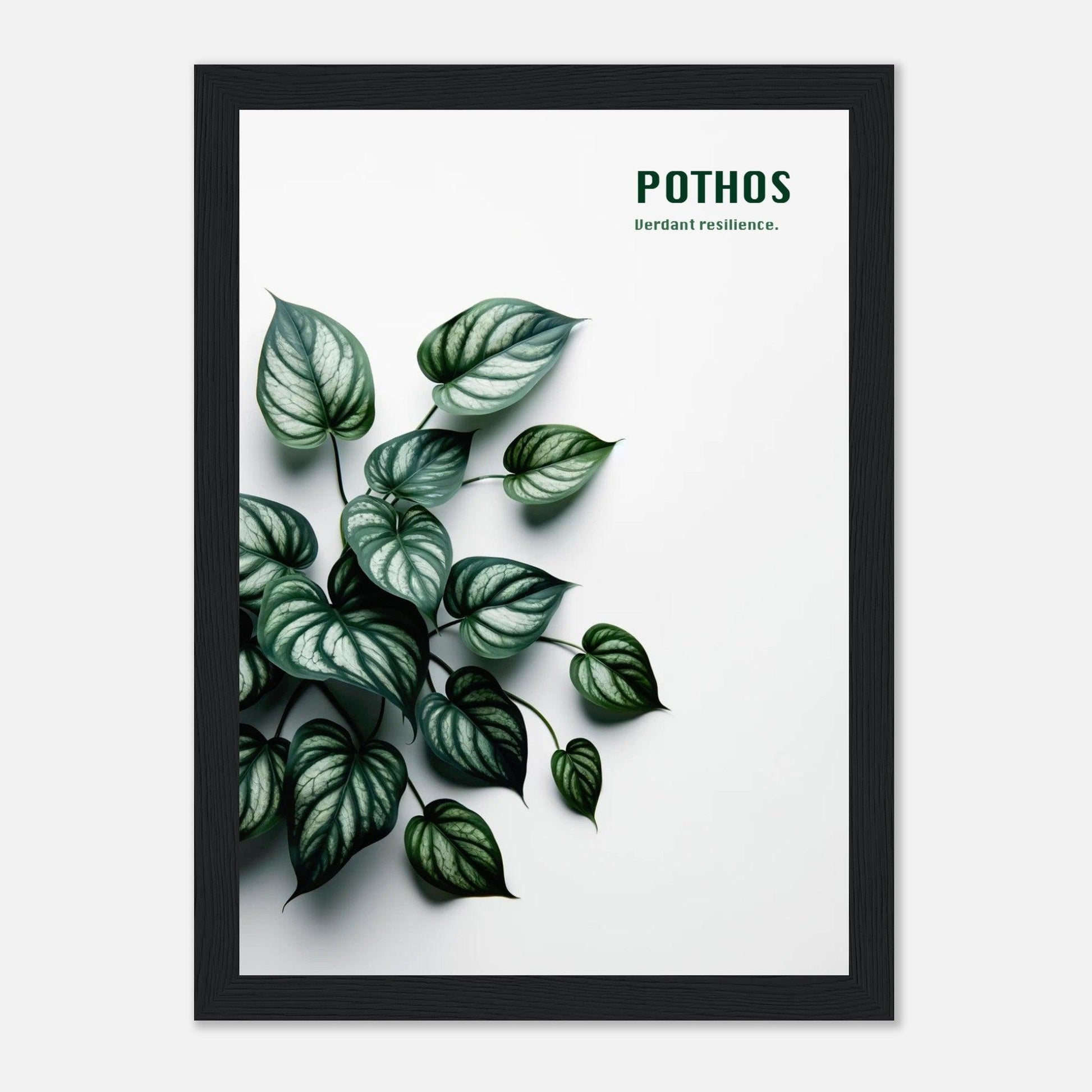 2421e72a-7364-4dcf-b176-aab152ace83e