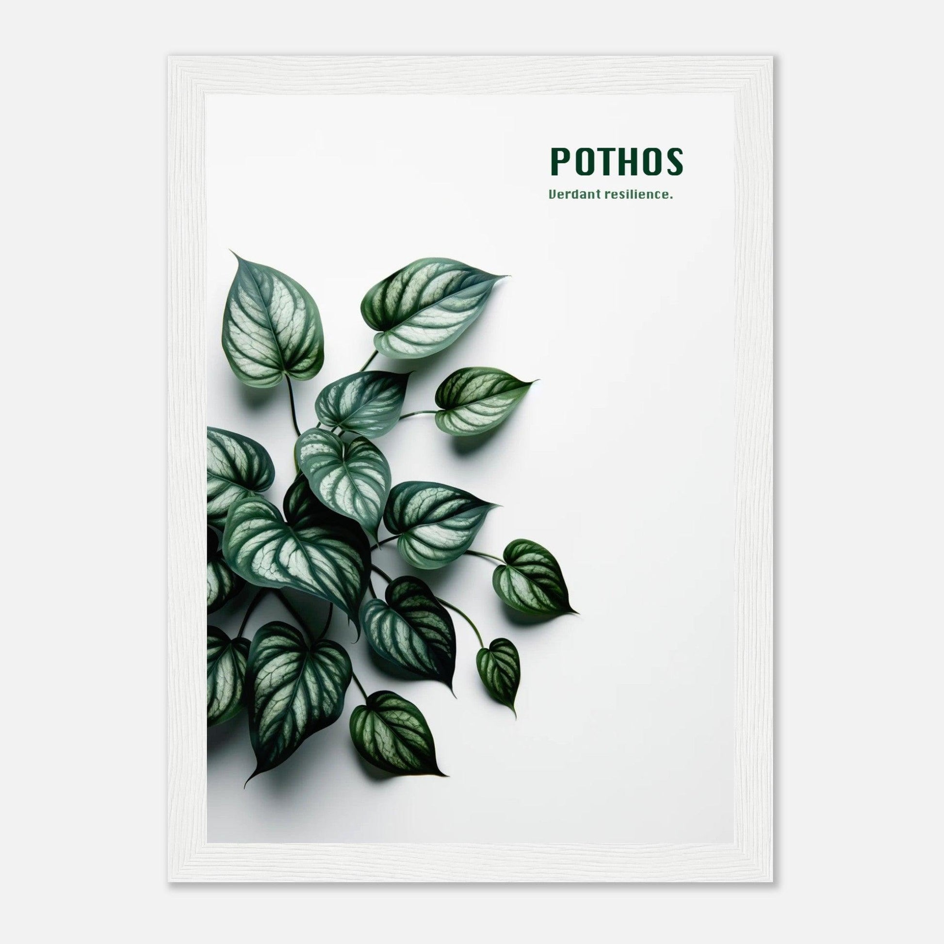 4411ceb3-8a5a-4b34-ba17-4a4a9eaa5434