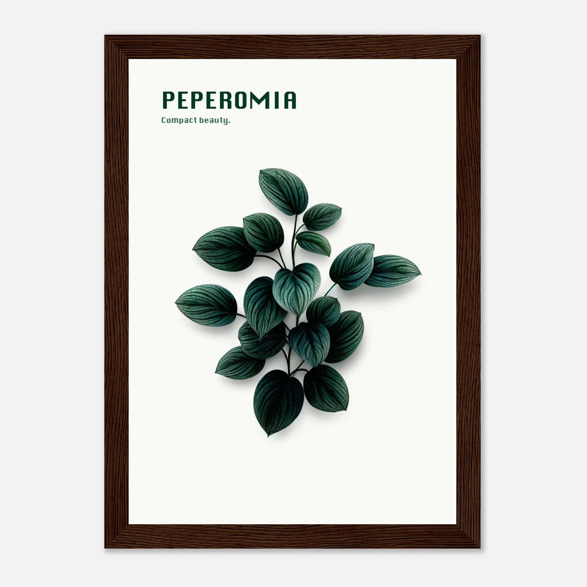 61177966-f70c-43ea-a4c3-9ddfd4b08ed0