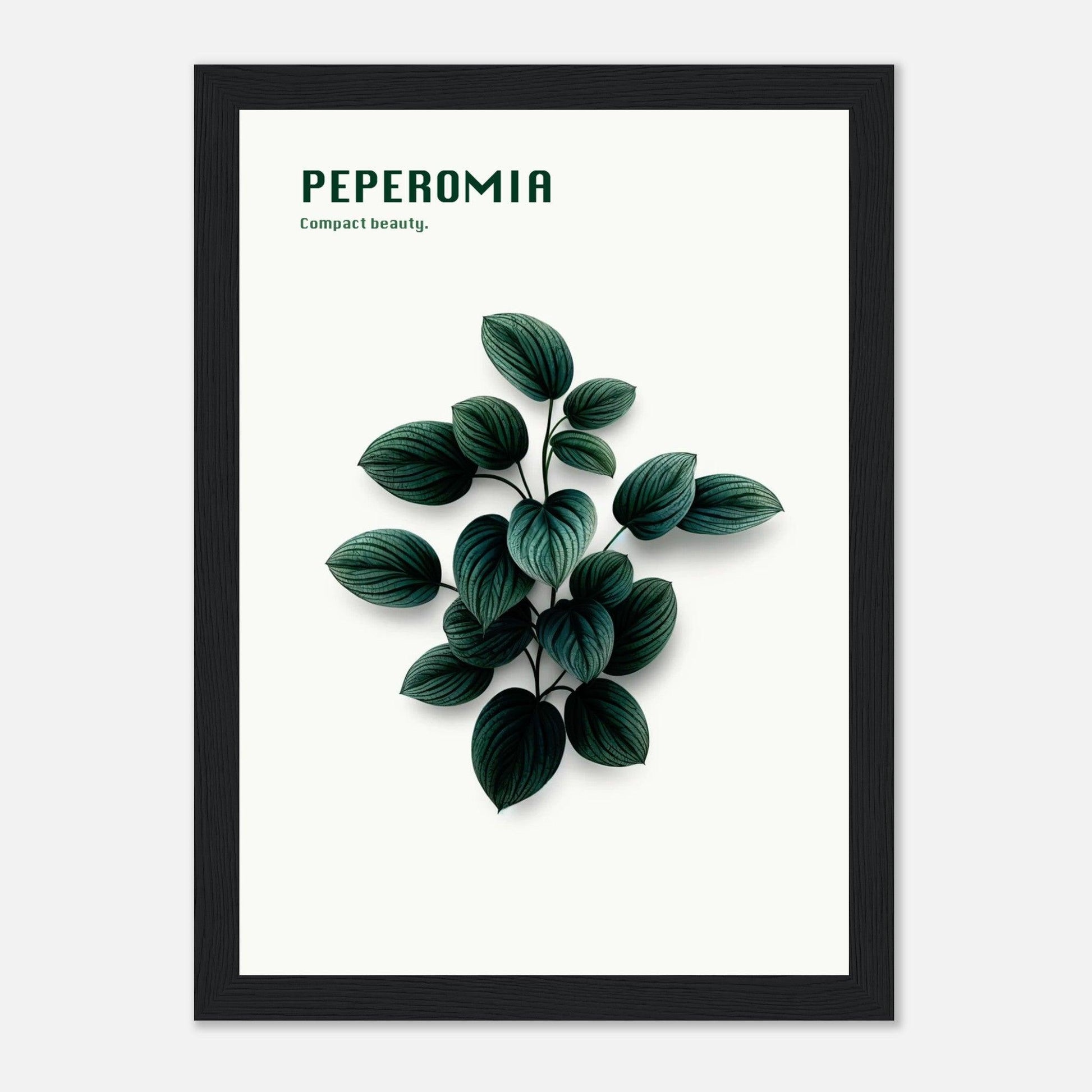 8760d05d-8ab8-40a9-bb2f-e52abd433648