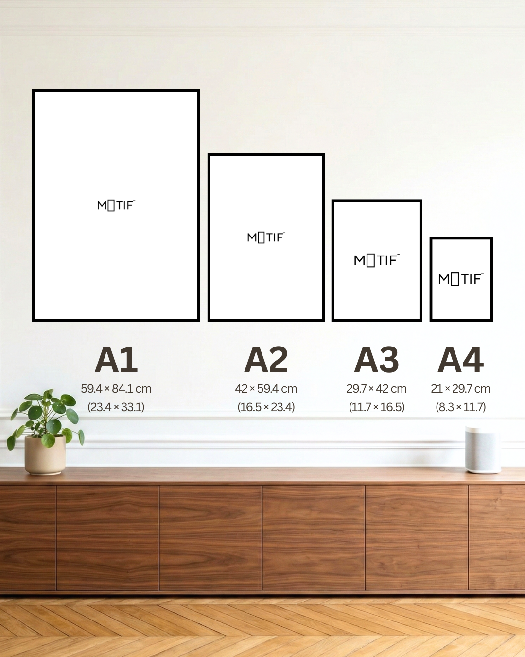 Sizes Global
