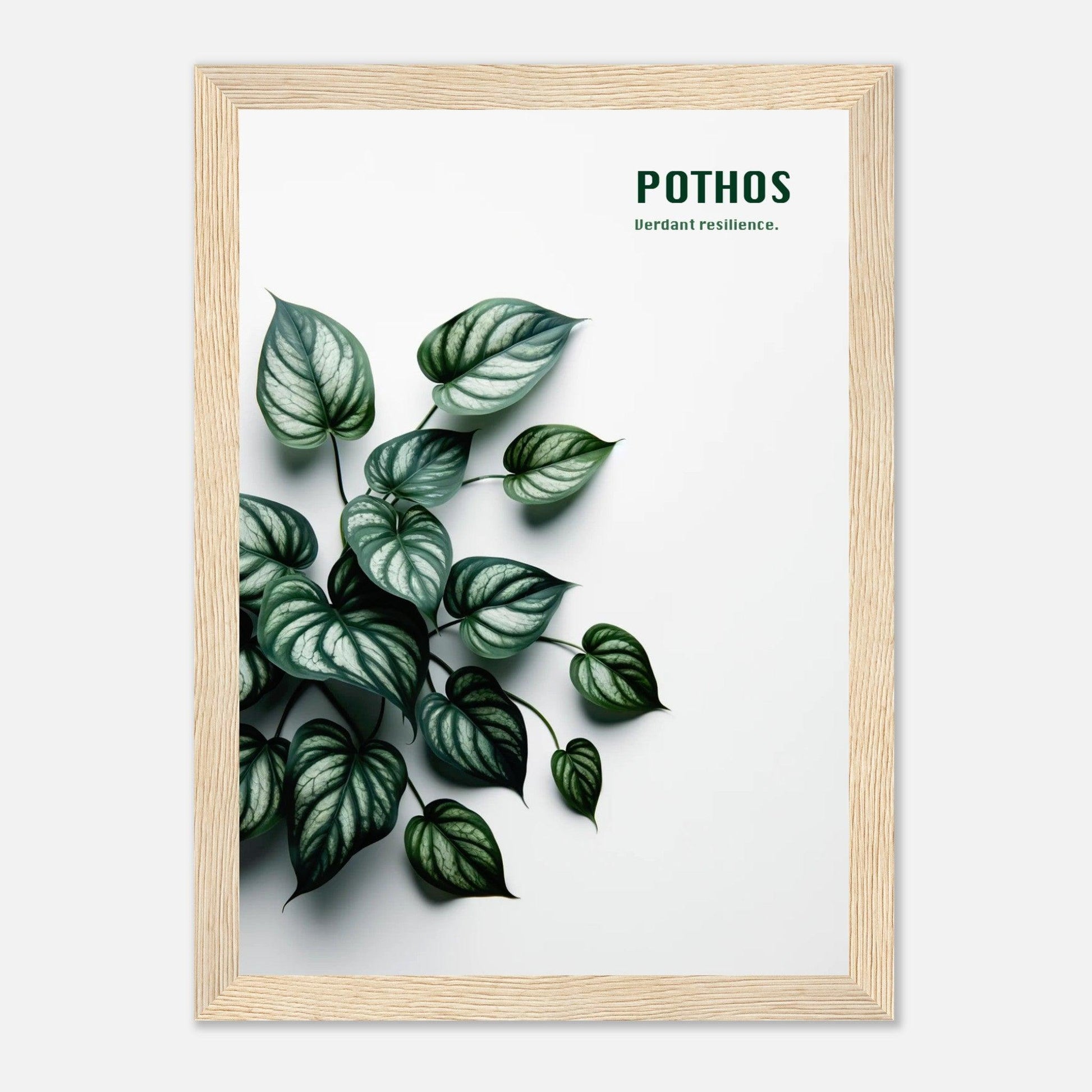 e69c2ccb-9e23-48d7-bcda-7becda6a5e69