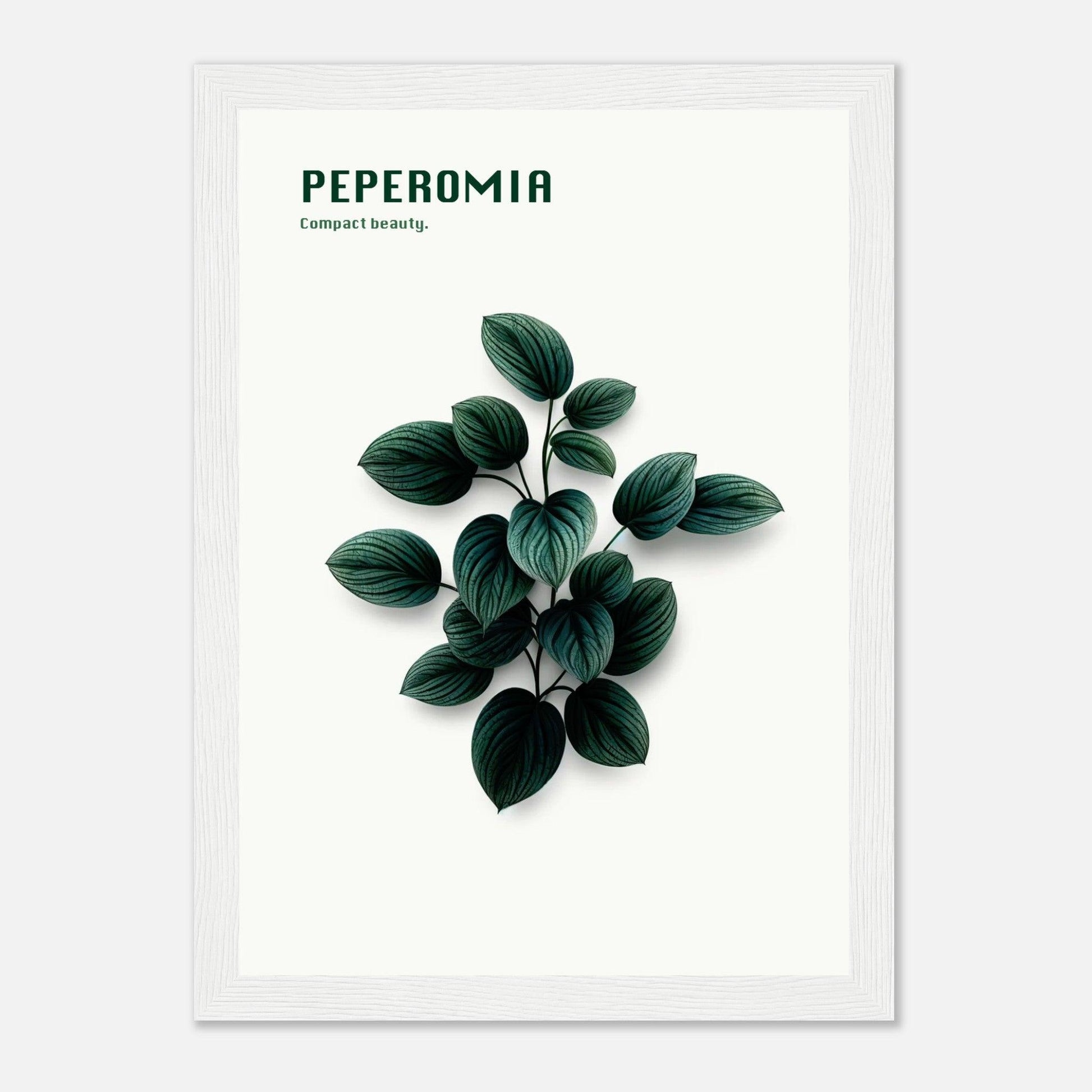 f9e3769f-e074-4a51-abb9-9a8d20e8ee8a